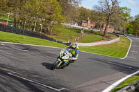 anglesey;brands-hatch;cadwell-park;croft;donington-park;enduro-digital-images;event-digital-images;eventdigitalimages;mallory;no-limits;oulton-park;peter-wileman-photography;racing-digital-images;silverstone;snetterton;trackday-digital-images;trackday-photos;vmcc-banbury-run;welsh-2-day-enduro